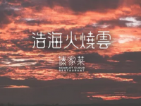 浩海火烧云傣家菜(京广店)